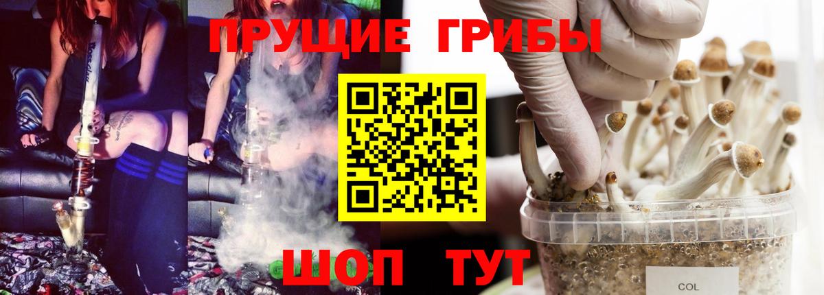 Баксан  Галлюциногенные грибы Magic Shrooms  Вход с VPN 
