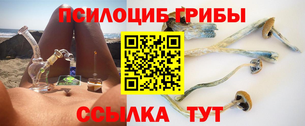 Псилоцибиновые грибы Psilocybine cubensis Баксан